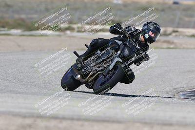 media/Mar-24-2025-2WTD (Mon) [[55b4b08488]]/C Group/240pm (Cotton Corners)/